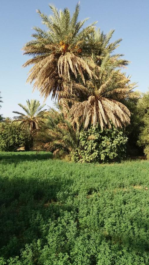Hotel Écologie oasis tafilalt à Errachidia Extérieur photo